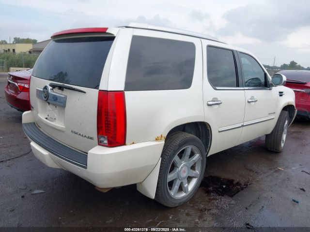 2012 CADILLAC ESCALADE 1GYS4BEF3CR133366 Photo 3