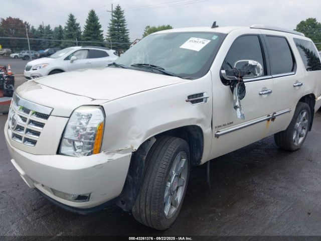 2012 CADILLAC ESCALADE 1GYS4BEF3CR133366 Photo 5
