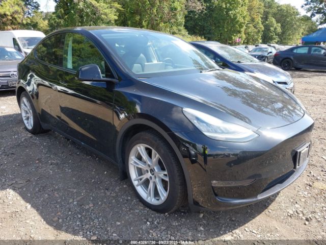 2022 TESLA MODEL Y 7SAYGAEE5NF385091 Photo 0