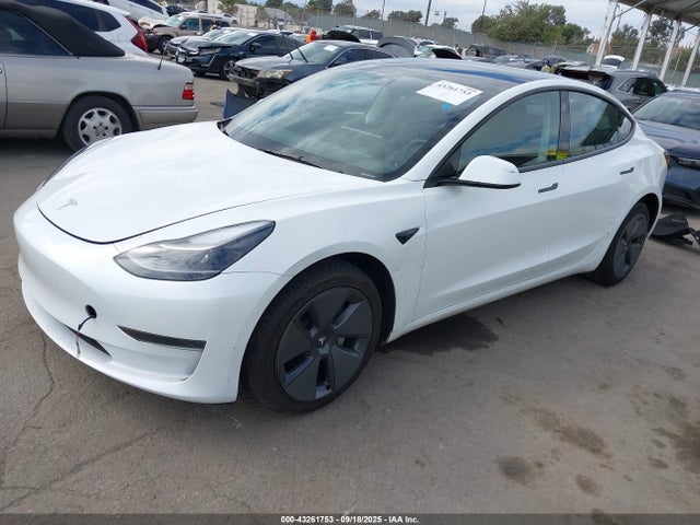 2023 TESLA MODEL 3 5YJ3E1EAXPF505318 Photo 1