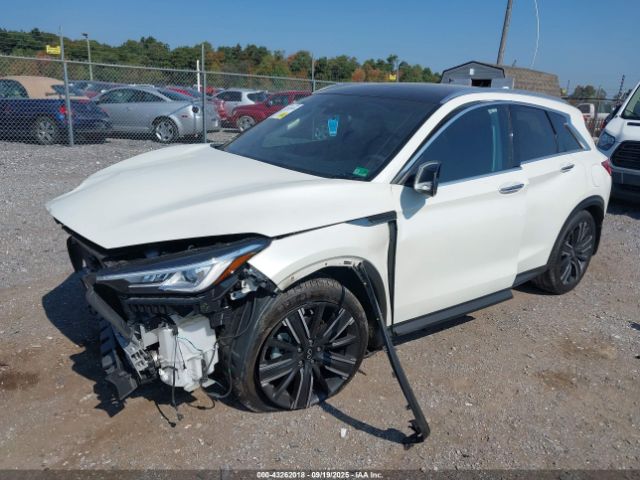 2021 INFINITI QX50 3PCAJ5BB7MF113710 Photo 1