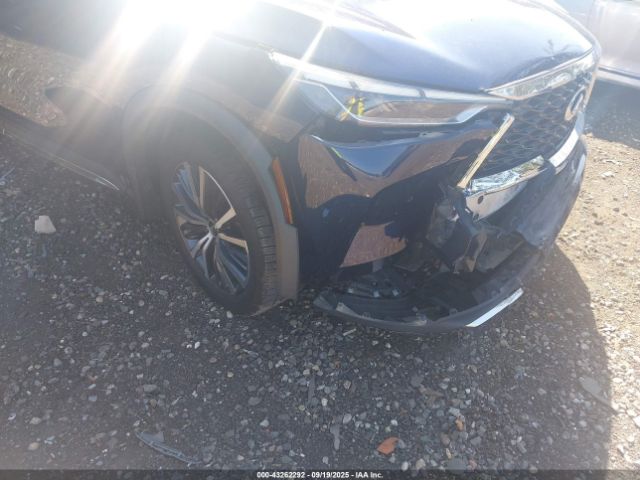 2022 INFINITI QX60 5N1DL1GS8NC336132 Photo 5