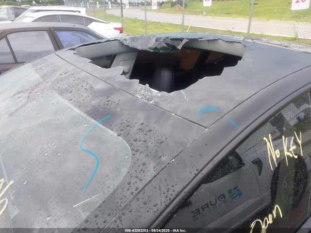 2023 TESLA MODEL 3 5YJ3E1EA1PF411506 Photo 5