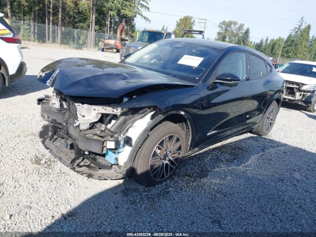 2024 FORD MUSTANG MACH-E 3FMTK3SU2RMA04047 Photo 1