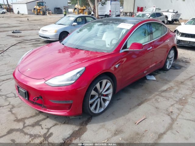 2019 TESLA MODEL 3 5YJ3E1EB8KF393510 Photo 1