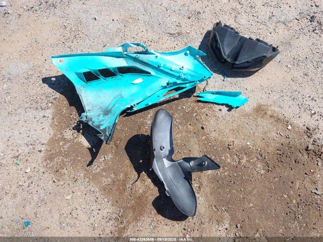 Kawasaki Ninja 300 2015 JKAEX8B17FDA22047 Image 12