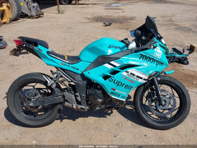 Kawasaki Ninja 300 2015 JKAEX8B17FDA22047 Image 13