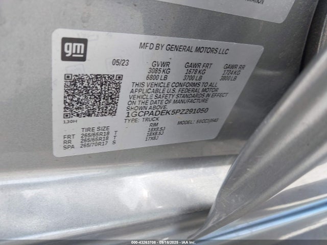1GCPADEK5PZ291050 Chevrolet Silverado 1500