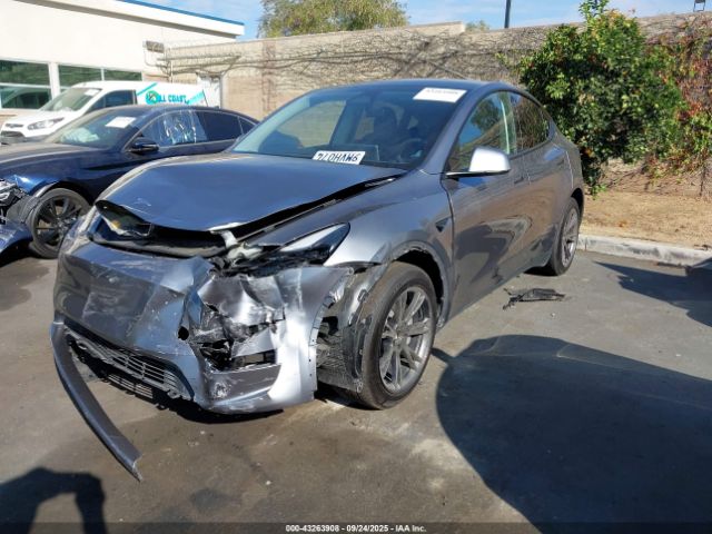 2024 TESLA MODEL Y 7SAYGAEE4RF115761 Photo 1