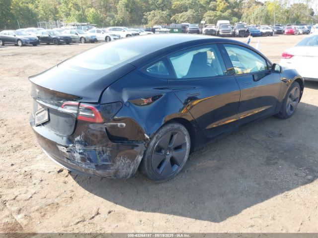 2023 TESLA MODEL 3 5YJ3E1EAXPF577975 Photo 3