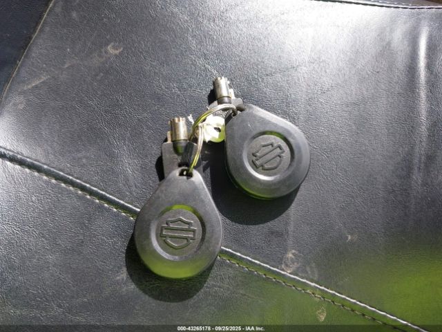 2018 HARLEY-DAVIDSON FLHX 1HD1KBC19JB628108 Photo 10