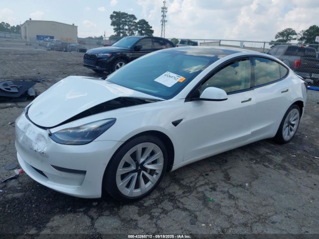 2021 TESLA MODEL 3 5YJ3E1EA4MF048811 Photo 1