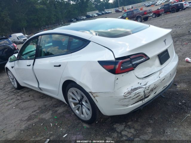 2021 TESLA MODEL 3 5YJ3E1EA4MF048811 Photo 2