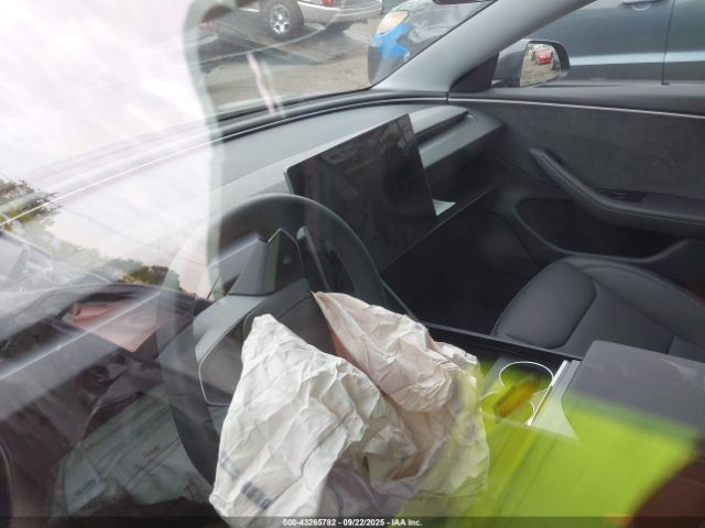 2025 TESLA MODEL 3 5YJ3E1EB5SF935033 Photo 6