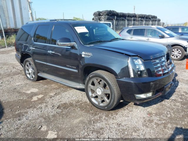 2013 CADILLAC ESCALADE 1GYS4BEF7DR207955 Photo 0
