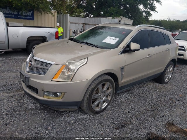 2011 CADILLAC SRX 3GYFNBEY7BS672844 Photo 1