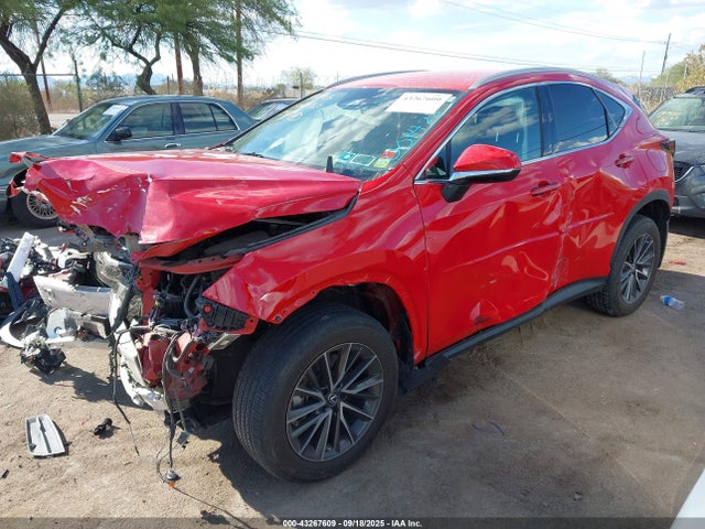 2022 Lexus Nx 250 მანქანა იყიდება აუქციონზე, vin: 2T2ADCEZ5NC001428, აუქციონის ნომერი: 43267609