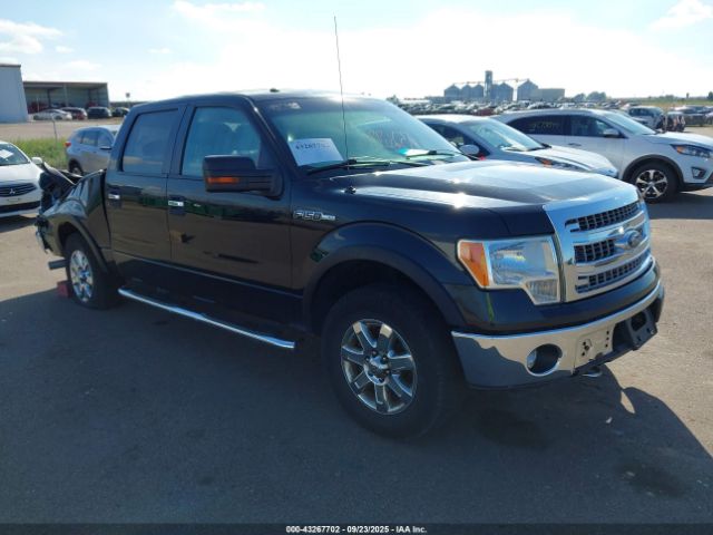 2013 FORD F-150 1FTFW1EF9DKE98382