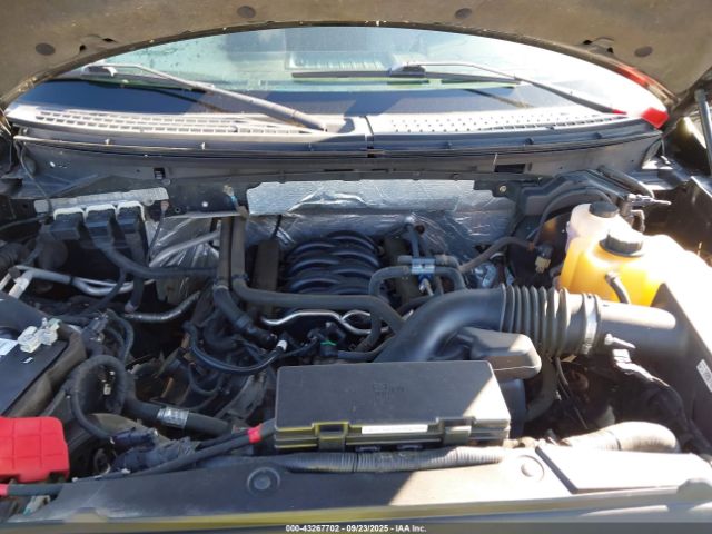 2013 FORD F-150 1FTFW1EF9DKE98382 Photo 9