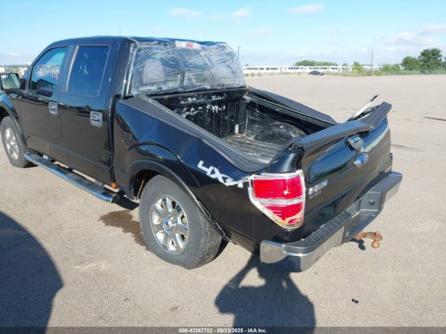 2013 FORD F-150 1FTFW1EF9DKE98382 Photo 2