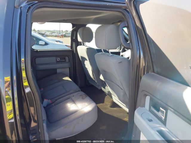 2013 FORD F-150 1FTFW1EF9DKE98382 Photo 7