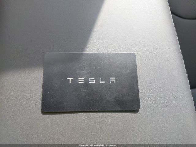 2026 TESLA MODEL Y 7SAYGDED7TF446169 Photo 10