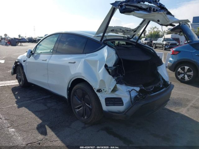 2026 TESLA MODEL Y 7SAYGDED7TF446169 Photo 2
