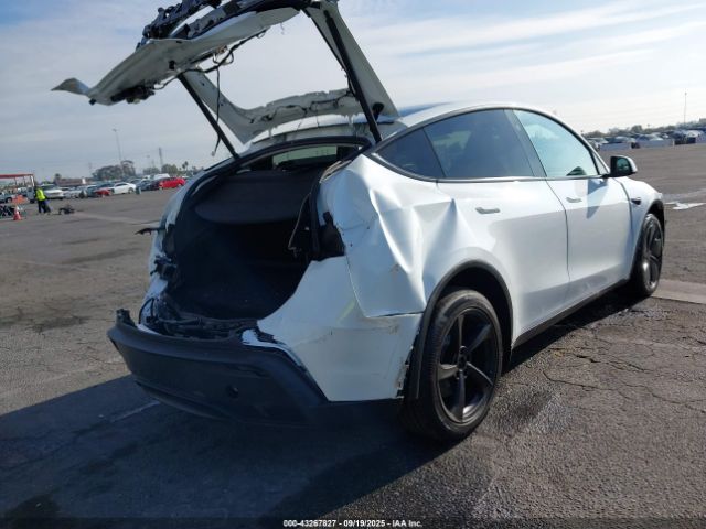 2026 TESLA MODEL Y 7SAYGDED7TF446169 Photo 3