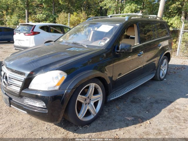 2011 MERCEDES-BENZ GL 550 4JGBF8GE9BA742283 Photo 1