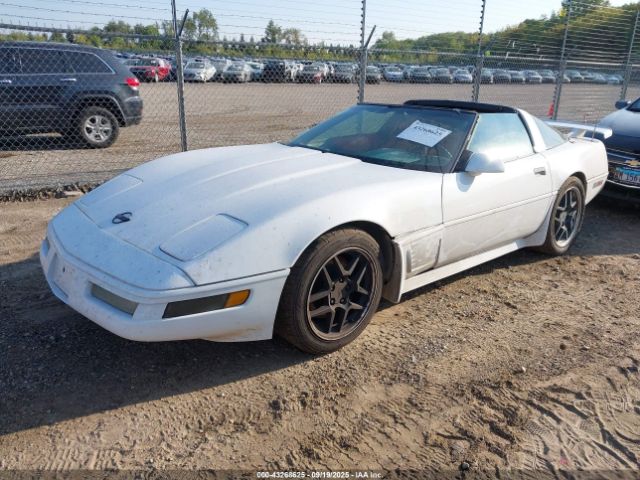 1996 CHEVROLET CORVETTE 1G1YY22PXT5110586 Photo 1