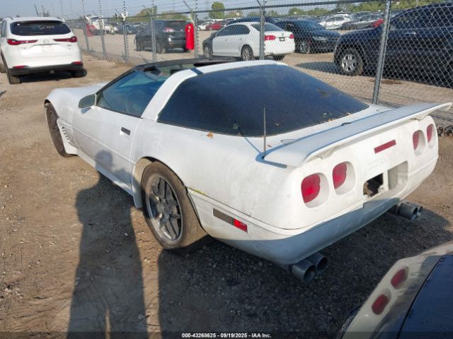 1996 CHEVROLET CORVETTE 1G1YY22PXT5110586 Photo 2