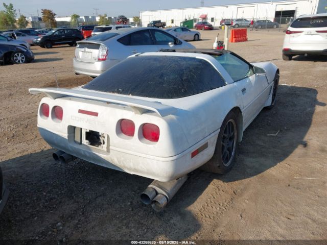 1996 CHEVROLET CORVETTE 1G1YY22PXT5110586 Photo 3