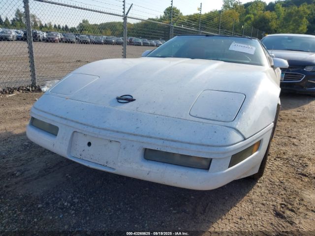 1996 CHEVROLET CORVETTE 1G1YY22PXT5110586 Photo 5