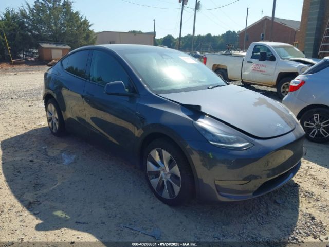2023 TESLA MODEL Y 7SAYGDEE0PA153743 Photo 0