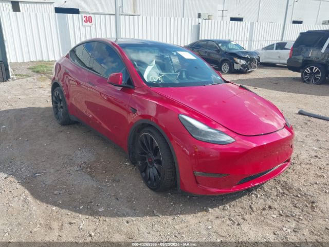 2023 TESLA MODEL Y 7SAYGDEF5PF786749