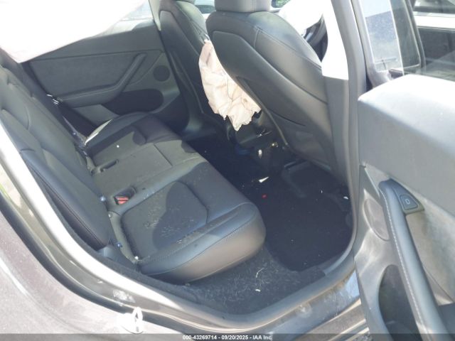 2025 TESLA MODEL Y 7SAYGDEDXSF259846 Photo 7