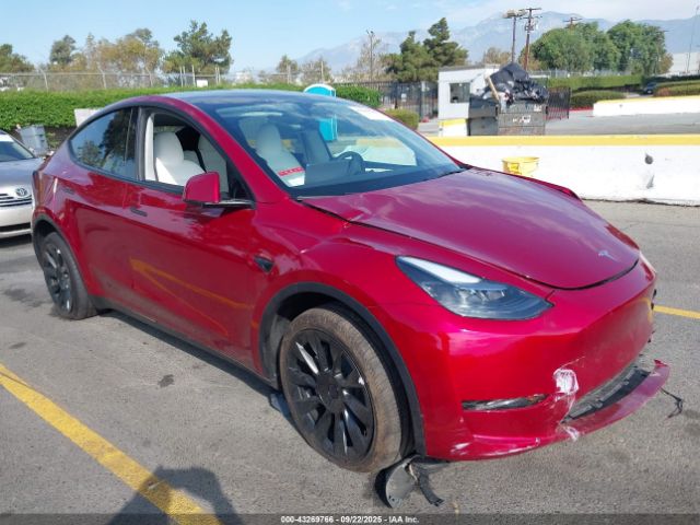 2025 TESLA MODEL Y 7SAYGDED9SA366867 Photo 0