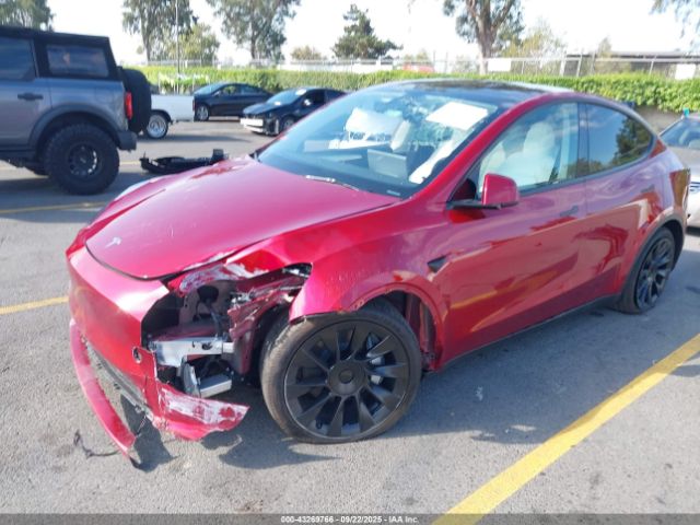 2025 TESLA MODEL Y 7SAYGDED9SA366867 Photo 1