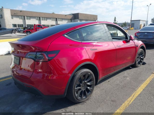2025 TESLA MODEL Y 7SAYGDED9SA366867 Photo 3