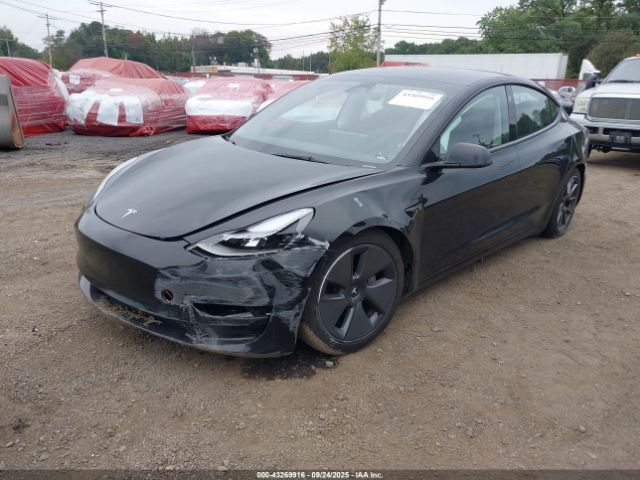 2023 TESLA MODEL 3 5YJ3E1EA4PF668384 Photo 1