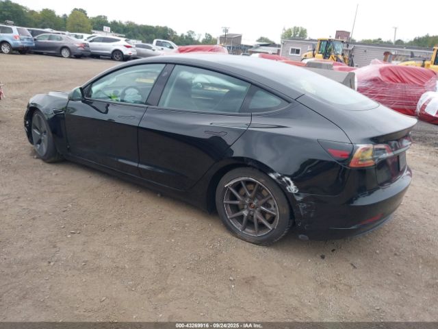 2023 TESLA MODEL 3 5YJ3E1EA4PF668384 Photo 2