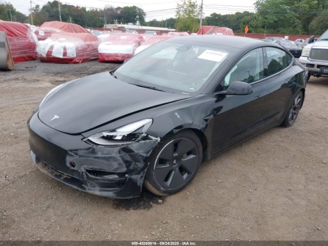 2023 TESLA MODEL 3 5YJ3E1EA4PF668384 Photo 5