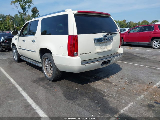 2007 CADILLAC ESCALADE ESV 1GYFK66897R253029 Photo 2