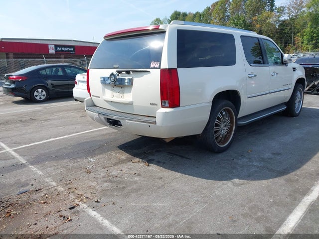 2007 CADILLAC ESCALADE ESV 1GYFK66897R253029 Photo 3