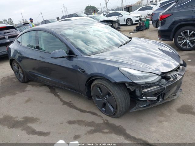 2023 TESLA MODEL 3 5YJ3E1EA0PF644809 Photo 0
