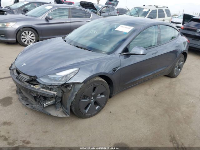 2023 TESLA MODEL 3 5YJ3E1EA0PF644809 Photo 1