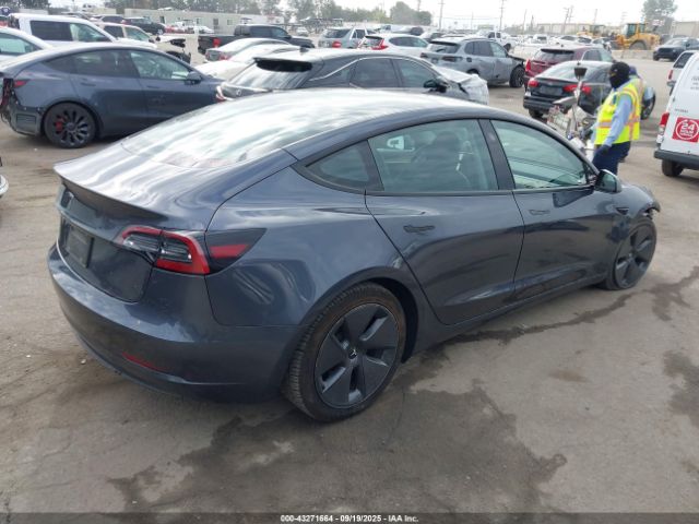 2023 TESLA MODEL 3 5YJ3E1EA0PF644809 Photo 3
