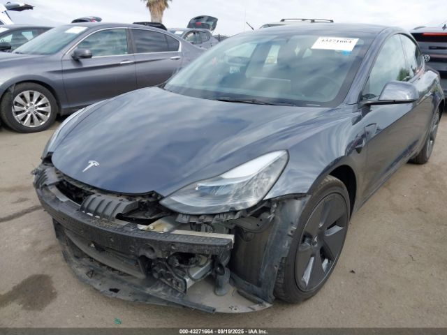 2023 TESLA MODEL 3 5YJ3E1EA0PF644809 Photo 5
