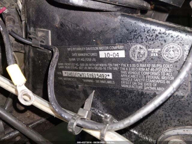 2005 HARLEY-DAVIDSON FLHTCUI 1HD1FCW315Y615492 Photo 9