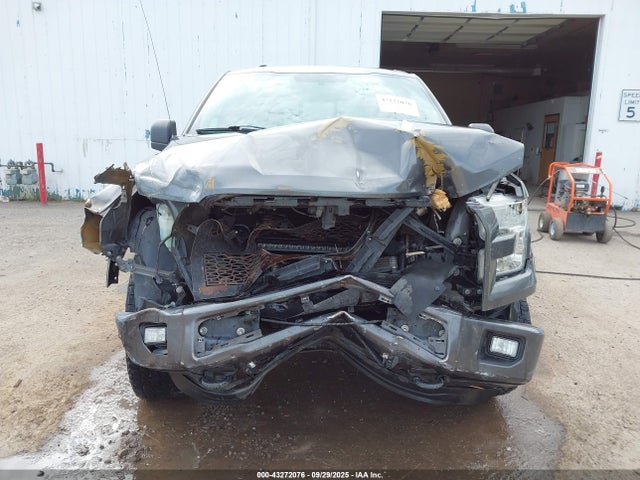 Ford F-150 Xlt 2015 1FTEW1EF4FKD19051 Image 12